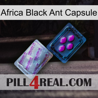 Africa Black Ant Capsule 37